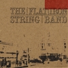 THE FLAT IRON STRING BAND: Flat Iron String Band