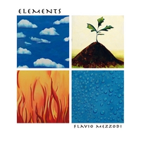 Flavio Mezzodi : Elements