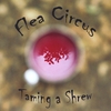 FLEA CIRCUS: Taming a Shrew