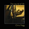 CHRIS FLEGG: The Sound of Life
