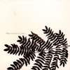 FLICA: Windvane & Window
