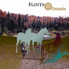 THE FLINTS: Ontario