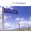 Floodgate: Salvation road