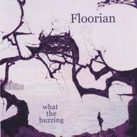 FLOORIAN: what the buzzing