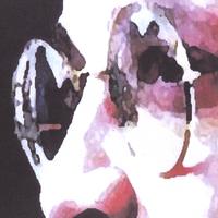 FLOWERBED: Songbook