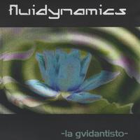fluidynamics : La Gvidantisto