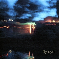 FLY EYE: Fly Eye