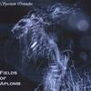 FIELDS OF APLOMB: Spiritum Oriundus