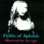 FIELDS OF APLOMB: Reverence for the Lost