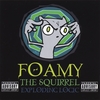 FOAMY THE SQUIRREL: Exploding Logic
