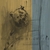 FOLLOWED BY GHOSTS: Dear Monsters, Be Patient