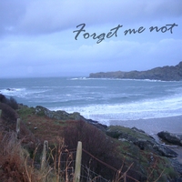 Forget Me Not : Forget Me Not