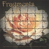 FRAGMENTS: 1995 - 2001