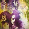 Frank Tribes: Lean Out Your Window