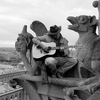 MAD WHISKEY GRIN: Waiting for Coyote