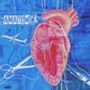 FRANTIC CLAM: Anatomica