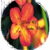 FREDA WISE: Best Of Freda Wise