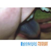 Freezepop : Freezepop Forever