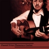 DANIEL FRIES: Camino de la Luna