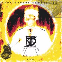 Father Son Band    (FSB) : Spontaneous Combustion