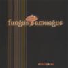 FUNGUS AMUNGUS: 'All Banged Up'
