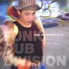 FUNK DUB DIVISION: the Hits