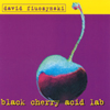 DAVID FIUCZYNSKI: Black Cherry Acid Lab