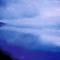 Fred Weaver : Present Dusk