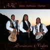 GABRIEL AYALA: Sonoran Nights