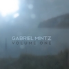 Gabriel Mintz: Volume One