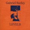 GABRIEL SURLEY: Levels