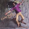 CORKY SIEGEL: Solo Flight 1975-1980