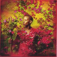 GAIL ANN DORSEY: I Used To Be...