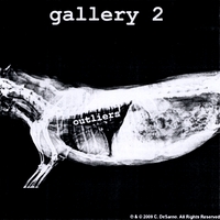 Gallery 2 : Outliers