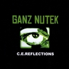 GANZ NUTEK: C.E.REFLECTIONS