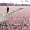 GARETH KEAR: Bucks County Guitar II