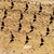 GARLO: Vent De Guitares