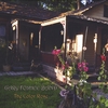 GARY FOSHEE BAND: The Color Rose EP