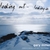 GARY MILLER: Looking Out- Looking In