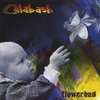 BOB GATEWOOD AND CALABASH: Flowerbed