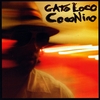 GATO LOCO: Coconino