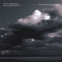 Gavin Ahearn Trio : Flight Of The Arctic Tern