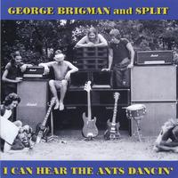 GEORGE BRIGMAN AND SPLIT: I Can Hear the Ants Dancin'