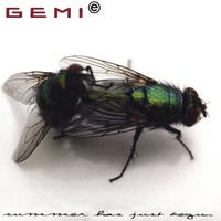 Gemie : Summer Has Just Begun "Single"
