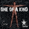 The Gemini: One of A Kind