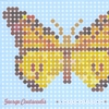 GEORGE COUTSOUDIS: Butterflies