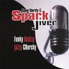 GENE HARDY & SPARKJIVER: Funky Bluesy Jazzy Churchy