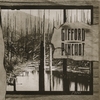 GIFFORD PINCHOT: 1910