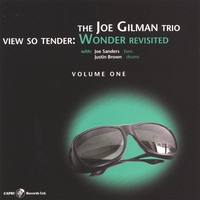 JOE GILMAN: View So Tender: Wonder Revisted Vol. 1
