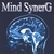 GINA LORENZO: Mind SynerG